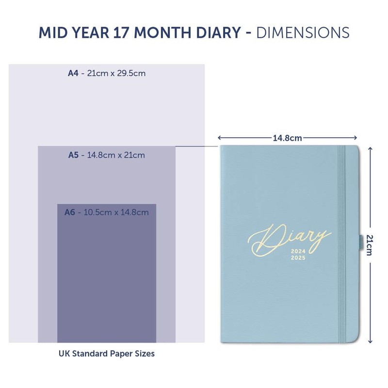 Busy B - Mid-Year Busy Life 17-Month Diary from August