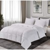 BlueRidge Home Fashion Olympia King in White Color Down Down