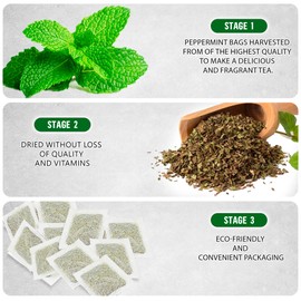 TeaDreamTea Peppermint Tea Bag - Mint Tea - Alleviates Digestive Discomfort | Herbal Tea - Mint Tea Bags - Healthy Tea | Aromatic & Caffeine Free Tea - Bulk Tea Bags (400 Teabags)