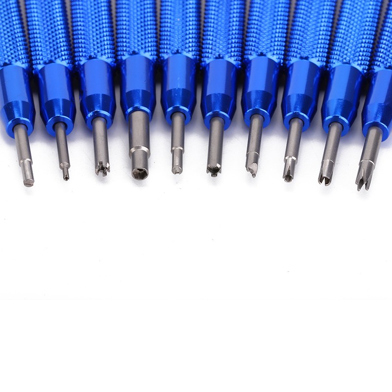10Pcs Professional Watch Screwdriver Watch Repairing Tool with Storage Box