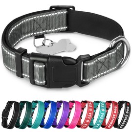 TECEUM - Collar para perro con acolchado - Gris - Collar para todas las razas y tamaños de gatos y perros - M
