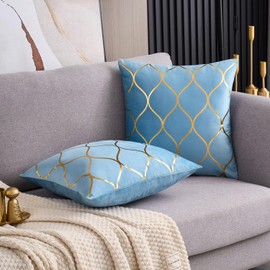 Arwllzz Light Blue Velvet Cushion Covers Decor 40x40 Set of 2 Luxury Golden Decorative Throw Pillow Case Modern Square Pillowcases for Bed Bedroom Couch Car Autumn Fall (16 x 16 Inch)