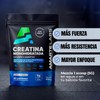 AMARTE LABS Pure Micronized Creatine Monohydrate Powder, Unflavored Strength &