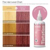 Kiss Tintation Semi-Permanent Hair Color 5 Ounce (Dusty Rose)