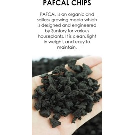 Pafcal Chips for Indoor and Outdoor | Sponge for Plants | Garden Wall Decoration | Vegetable Growing Kit | Organic Sponge for Plants Landscape and Nursery Pots | Soil Replacement | 1.0KG