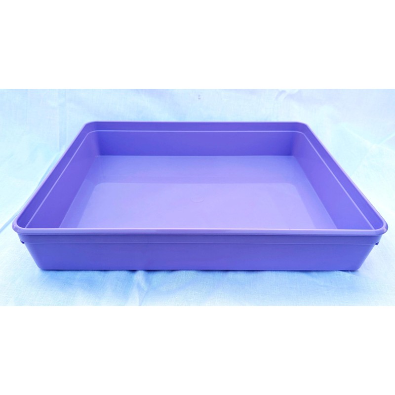 Instrument tray - 31cm x 26cm x 5cm (Purple)