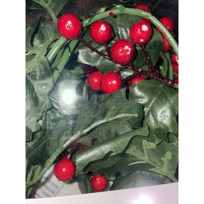 Ashland 5ft LED Holly Red Berry Christmas Crafting Lights Lot