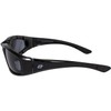 Birdz Eyewear Oriole Motorcycle Sunglasses Padded Riding Glasses 2 Pair