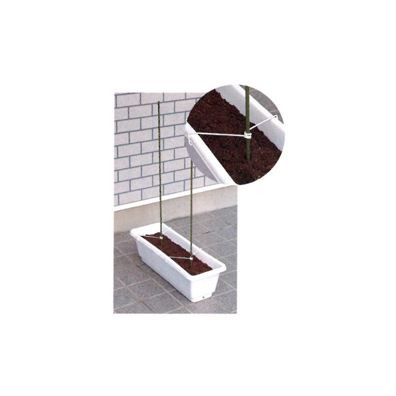 Watanabe Stake Holder for Planters, Pack of 2, For 0.4