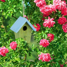 Relaxdays Colorful Deco Birdhouse, Wooden, Small Bird Feeder, Hanging Spring Decor, HxWxD: 16 x 15 x 8 cm, Green