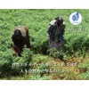 Indian Farm 100% Organic Indigo Powder 7.1 oz (200 g)