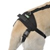 Ortocanis - Full Body Harness for Front and Rear Legs
