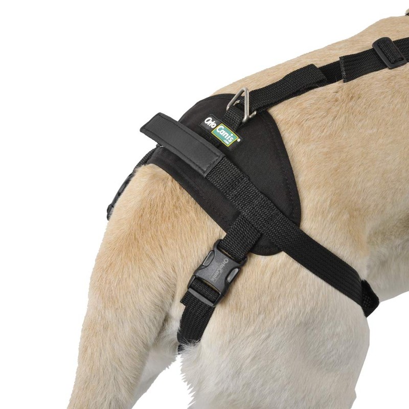 Ortocanis - Full Body Harness for Front and Rear Legs