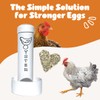 Oyster Shell Feeder for Chickens