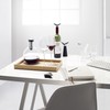 EVA SOLO | Decanter carafe 25oz | 100% drip-free |