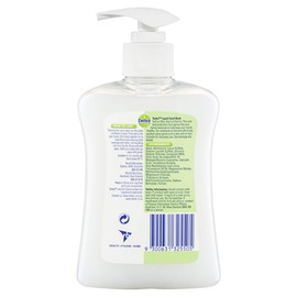 Dettol Liquid Hand Wash Aloe Vera Pump Anti-Bacterial, 250ml