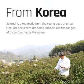 Ssanggye Green Tea 1.2g x 40 Teabag, Korea Traditional Natural Pure Green Leaf Tea, Soft Rich Flavor Smooth Refreshing Coffee-Alternative Single Serve Herbal Tea Hot & Cold Daily Drink for 4 Seasons