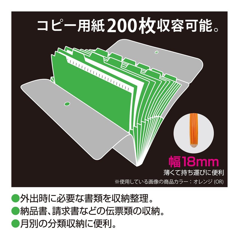 Sekisei ACT-3912 Document File A4 13 Pockets, White
