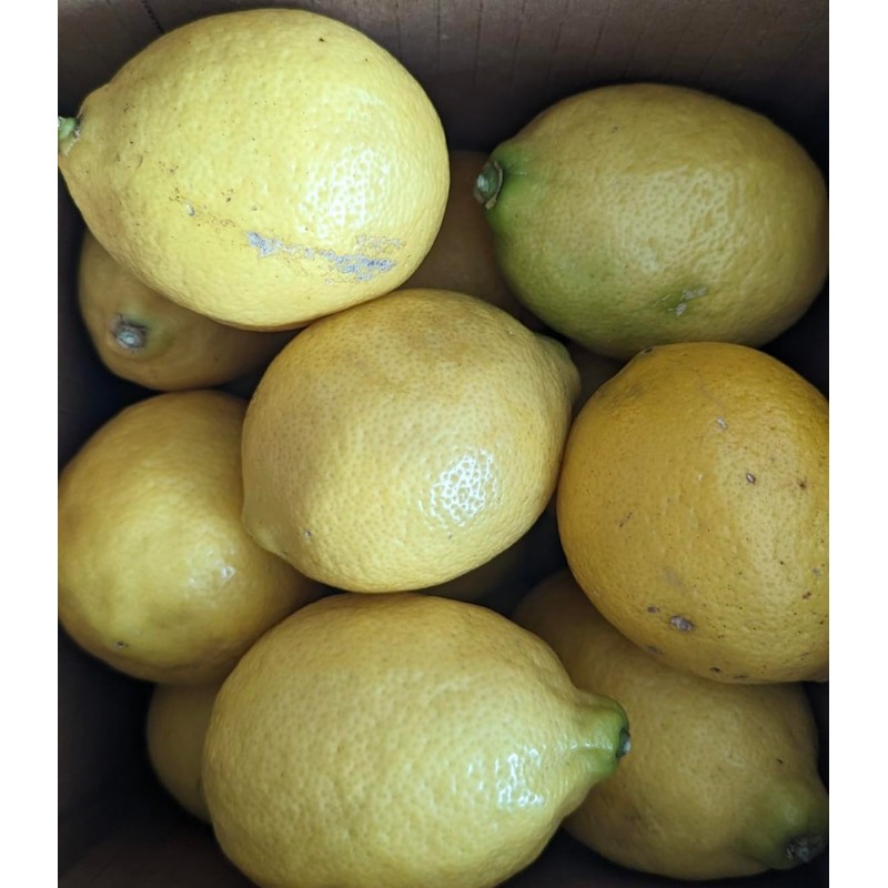 Fresh Organic Lemons from California - Unsprayed Chemical-Free - 2