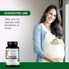 EMERALD LABS Prenatal 1-Daily Multi - Prenatal Multivitamin with Methylated
