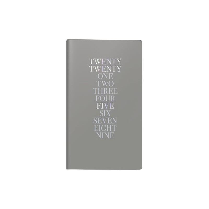 rido/idé Iridescent Pocket Planner 2 Pages = 1 Week, A6,
