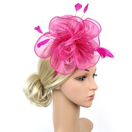 Dodheah Fascinators Hat for Women Tea Party Derby Hats Pillbox Hat Flower Feathers Wedding Headwear with Headband Hair Clip 052-Rose red