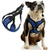 Gooby Comfort X Step in Lite Dog Harness - Choke