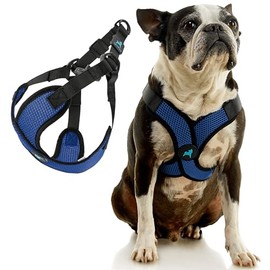 Gooby Comfort X Step in Lite Dog Harness - Choke Free, Escape Free with Light Breathable Mesh - Step in Dog Harness for Small and Medium Dogs - Quick Release Buckle, Metal D-Rings - Blue, Small