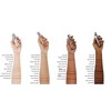 L'Oréal Paris Accord Parfait Liquid Primer 2.D Golden Almond Pack