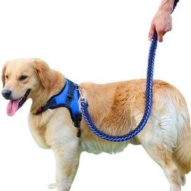 犬 ハーネス 首輪 胴輪 小型犬 ソフト 安全 簡単着脱 咳き込み軽減 調節可能 反射材 引っ張り防止 車載功能 耐久性 老犬 歩行補助 しつけ用 散歩用 軽量 通気 (XS, ブルー)