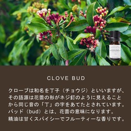 Clove Bud 5ml (COONA Essential Oil Aroma Oil 100% Natural Plant Essential Oil)