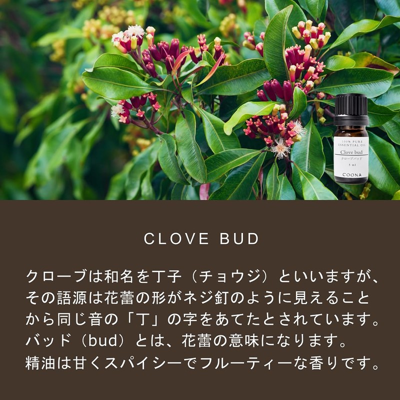 Clove Bud 5ml (COONA Essential Oil Aroma Oil 100% Natural