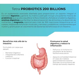TETRA PROBIOTICS 200 BILLONES - 200 capsulas (200 BILLONES UFC por porcion), Complejo de Probioticos con Fibras Prebioticas, Enzimas Digestivas y Citrato de Magnesio -by Eternal Nutrition