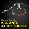 Raid Ant Killer Baits, Child Resistant Bug Killer for Indoor