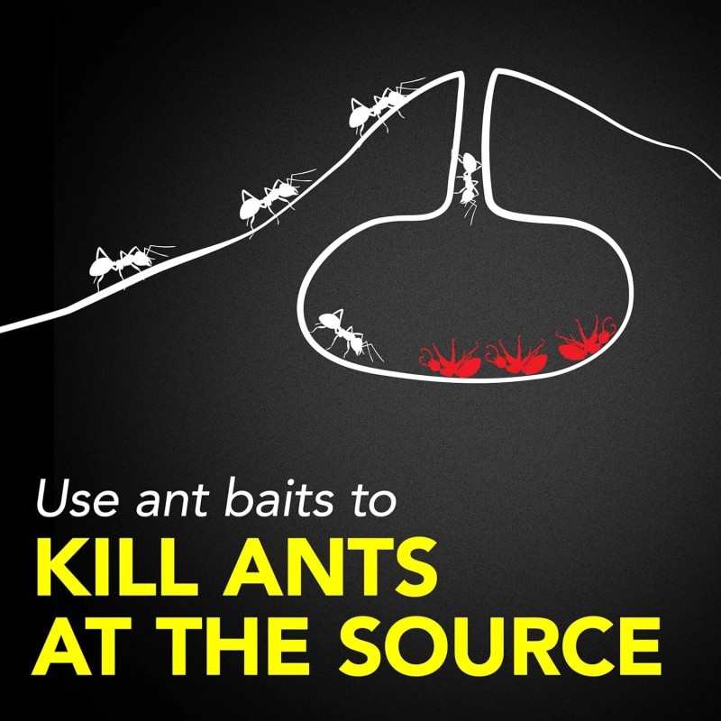 Raid Ant Killer Baits, Child Resistant Bug Killer for Indoor