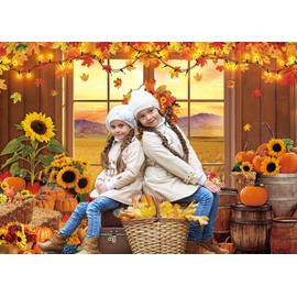 Fall Window Backdrop for Photography Autumn Pumpkin Maple Leaf Sunflower Background for Autumn Birthday Baby Shower Thanksgiving Party Banner Photo Booth Props (7x5FT（210x150cm）)