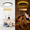 Antree LED Ceiling Light, 6 Tatami, Stylish, Ceiling Light Fixture,