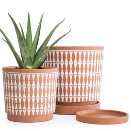D'vine Dev Set of 2 Terracotta Pots, 6.5 Inch and 8.2 Inch, Planter Pots for Plants with Drainage Holes and Saucers, Pottery Red/White, 34-958-B-1