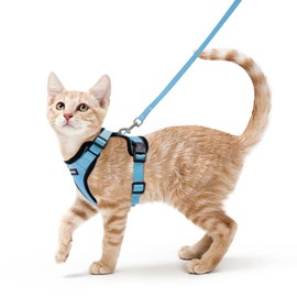 Rabbitgoo Cat Harness, Leash Set, Ultra-Small Dogs, Small Dogs, Hard to Fall Off, Soft Chestplate, Lightweight, Put On Without Lifting Legs, Adjustable Size, Night Reflection, Breathable Mesh