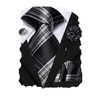 Hi-Tie Black Grey Mens Ties and Flower Lapel Pin Set