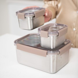LocknLock Stainless Steel Food Storage Container - Airtight, Leak-proof, Stackable (520ml x 2/2800 ml) | Modular Design for Meal Prep, Lunch, Freezer & Dishwasher Safe