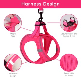 BELLA & PAL Puppy Harness with Leash Set, Dog Harness for Small Dogs No Pull, Dog Leash for Small Dogs, Step in Harness for Extra Small Dogs, Hot Pink Harness, XS