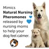 ThunderEase Dog Calming Pheromone Spray | Powered by ADAPTIL |
