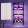 LED Grow Light