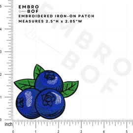 EMBRO BOF The Blueberry Patch – 2.5 inches, Cool Colorful Blueberry Patches – Embroidered Fruit Iron On Patches Iron On/Sew On