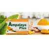 Ampalaya Supplement - 550mg 30 Capsules with Banaba,Turmeric and Bitter