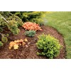 Rain Bird MBH4PKS Drip Irrigation Micro-Bubbler on Stake, 180° Half
