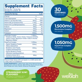Wellah Wellah Splish Splash Hydration Electrolyte Drink Mix (Strawberry Kiwi Flavored, 30 Servings)