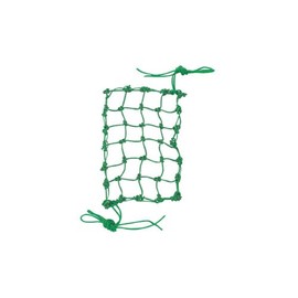 SSK SNH10 Baseball Ground Equipment Repair Net (Small), Green, 5.9 x 8.9 inches (15 x 22.5 cm)