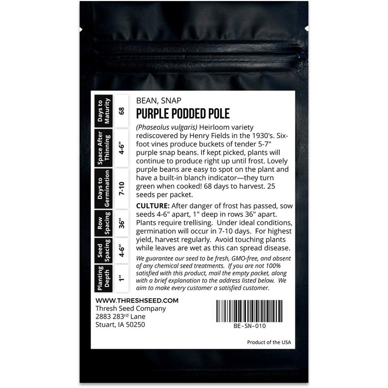 Purple Podded Pole Bean - 25 Seeds